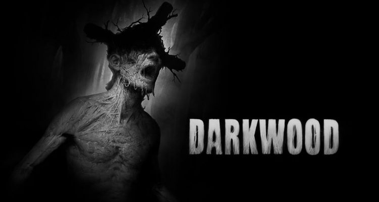 recenzje Darkwood